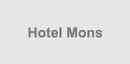 Hotel "Mons" Zlatibor